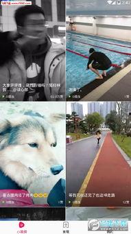 娱乐爆料劲爆视频下载,娱乐爆料瞬间揭秘