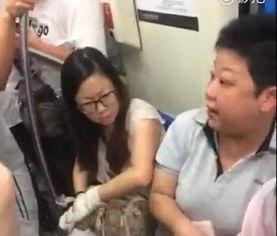 网友爆料阿姨视频大全,阿姨视频大全，揭秘日常生活中的温馨瞬间